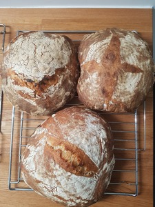 pain au levain maison