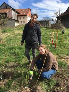 plantation forêt jardin