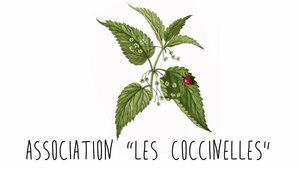 Association "Les Coccinelles"